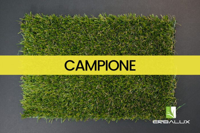 adone_20mm_top_campione