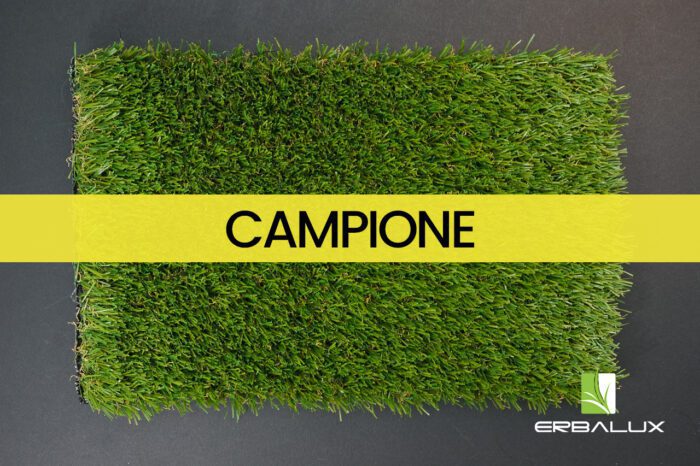 alba_25mm_top_campione