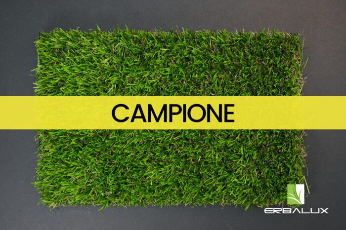 bacco_25mm_top_campione