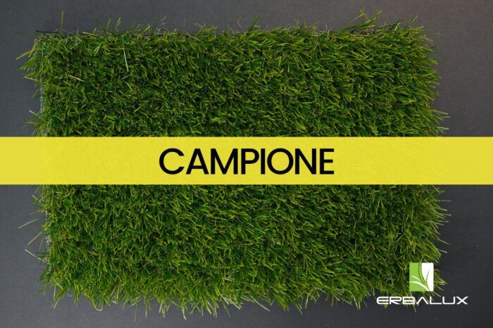 bemus_30mm_top_campione