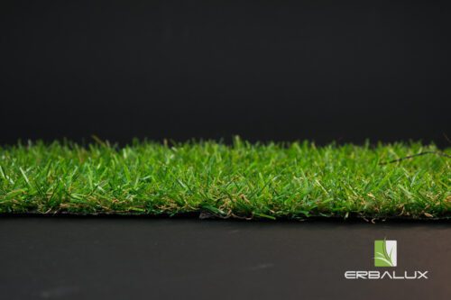 check_20mm_fronte