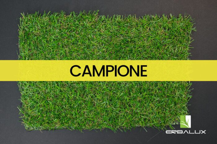 check_20mm_top_campione
