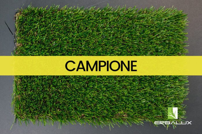 cleide_25mm_top_campione