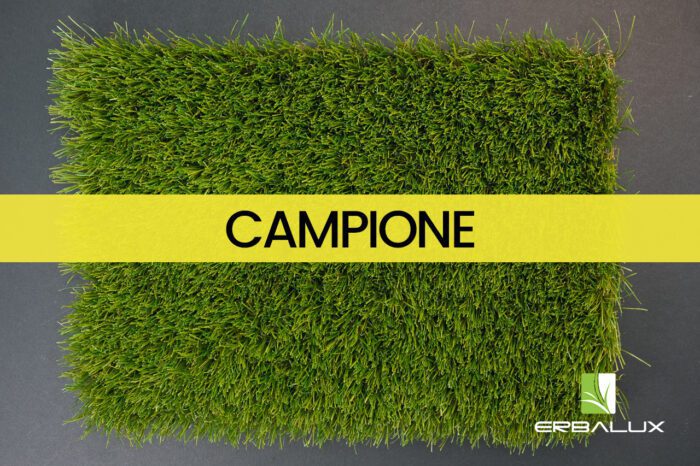 conster_35mm_top_campione