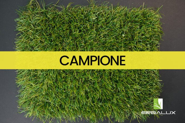 dora_50mm_top_campione