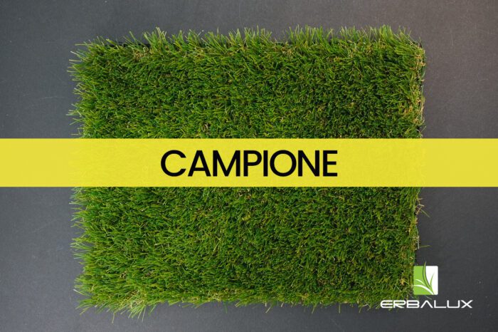 duna_20mm_top_campione