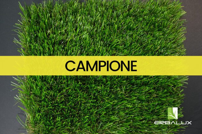 eric_50mm_top_campione