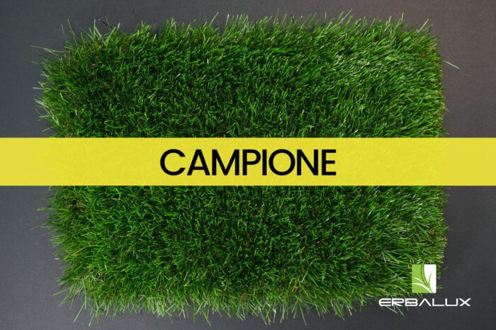 febo_45mm_top_campione