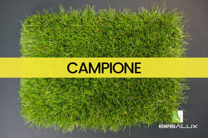 gladiatore_50mm_top_campione