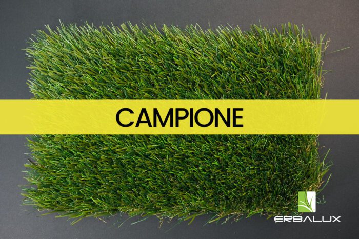 moira_50mm_top_campione