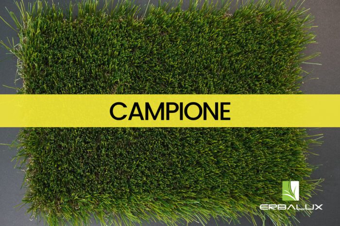 sicilia_55mm_top_campione