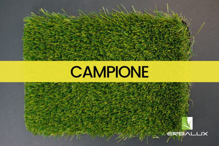 vetiver_40mm_top_campione