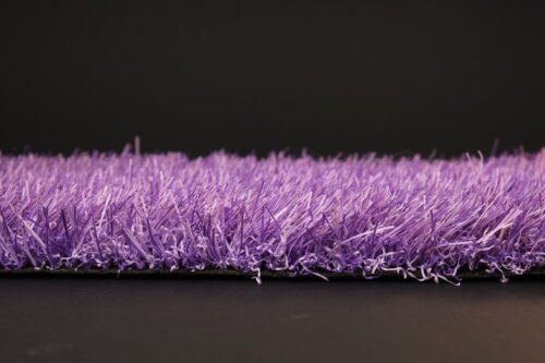 viola_fronte