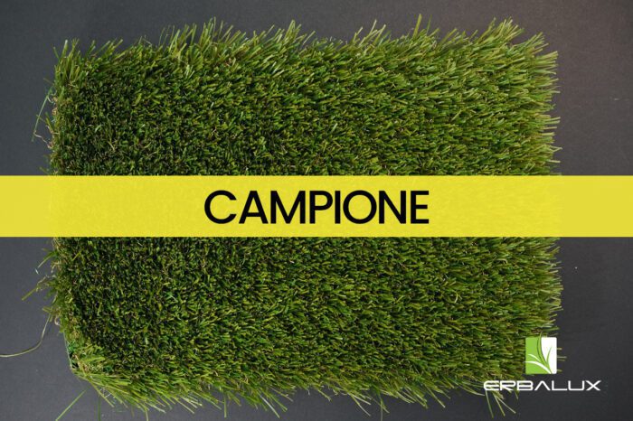 delivery_45mm_top_campione