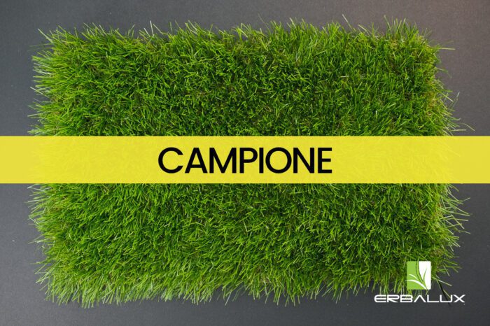 proxy_40mm_top_campione