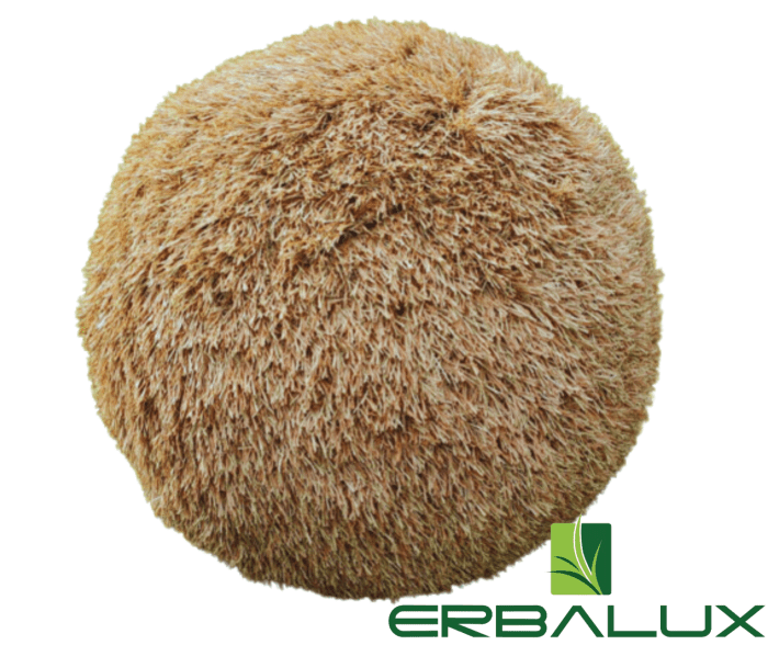 sfera-gold.png