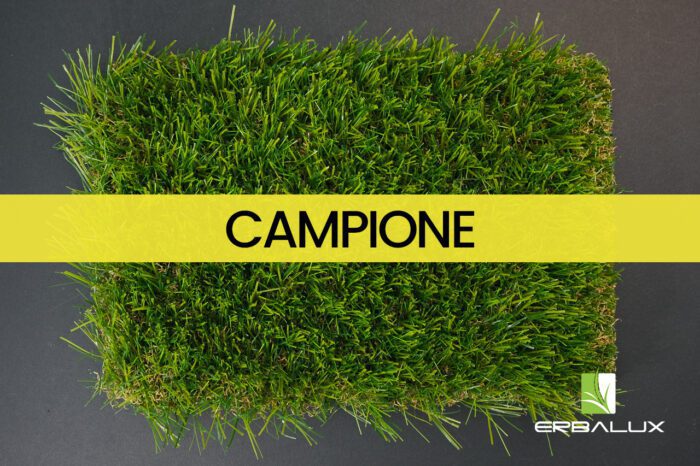 smile_50mm_top_campione